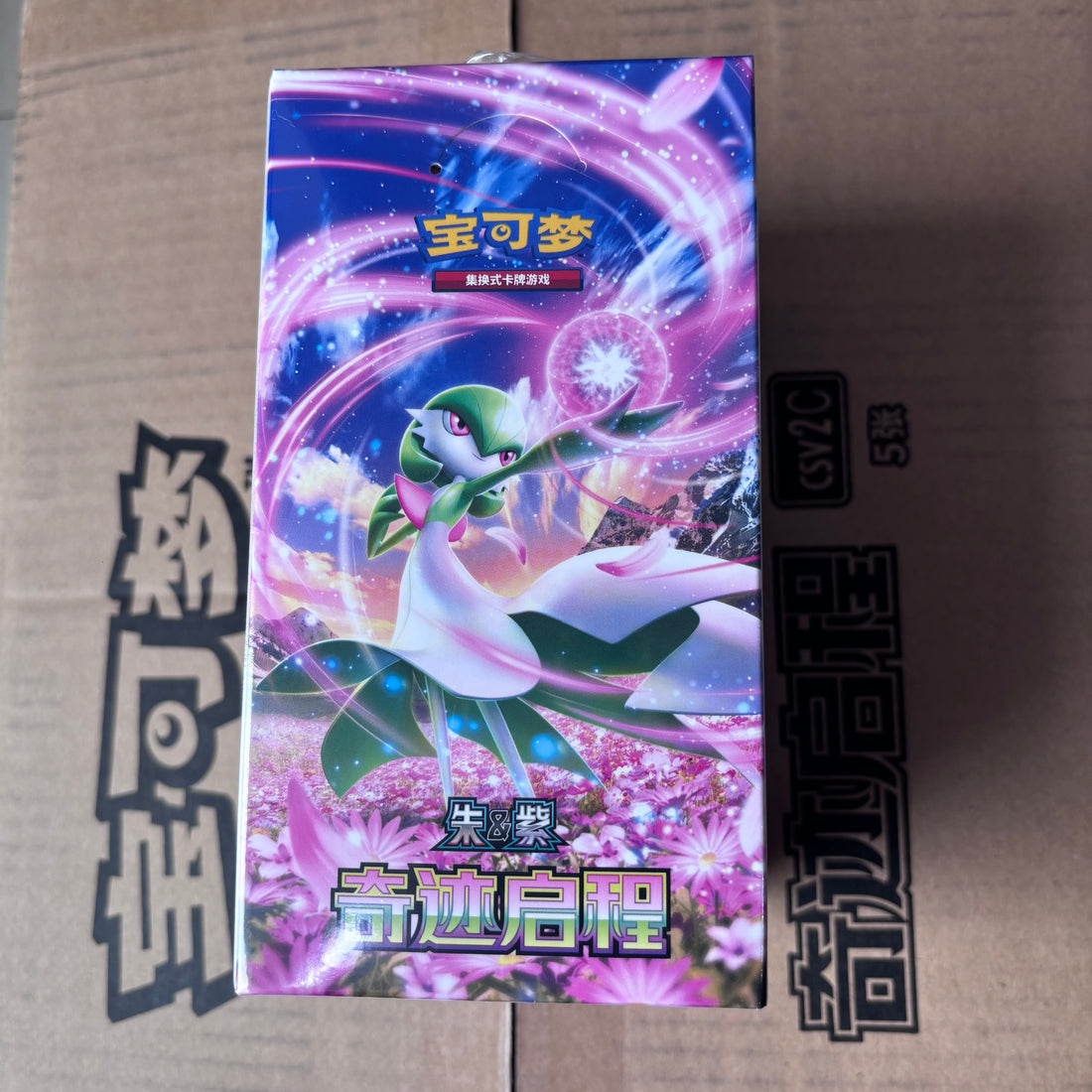 PTCG Pokemon 10.0 Slim Pack (csv2C)
